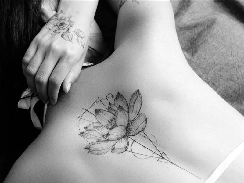 LovelyLotus4 immagine del profilo del modello di cam