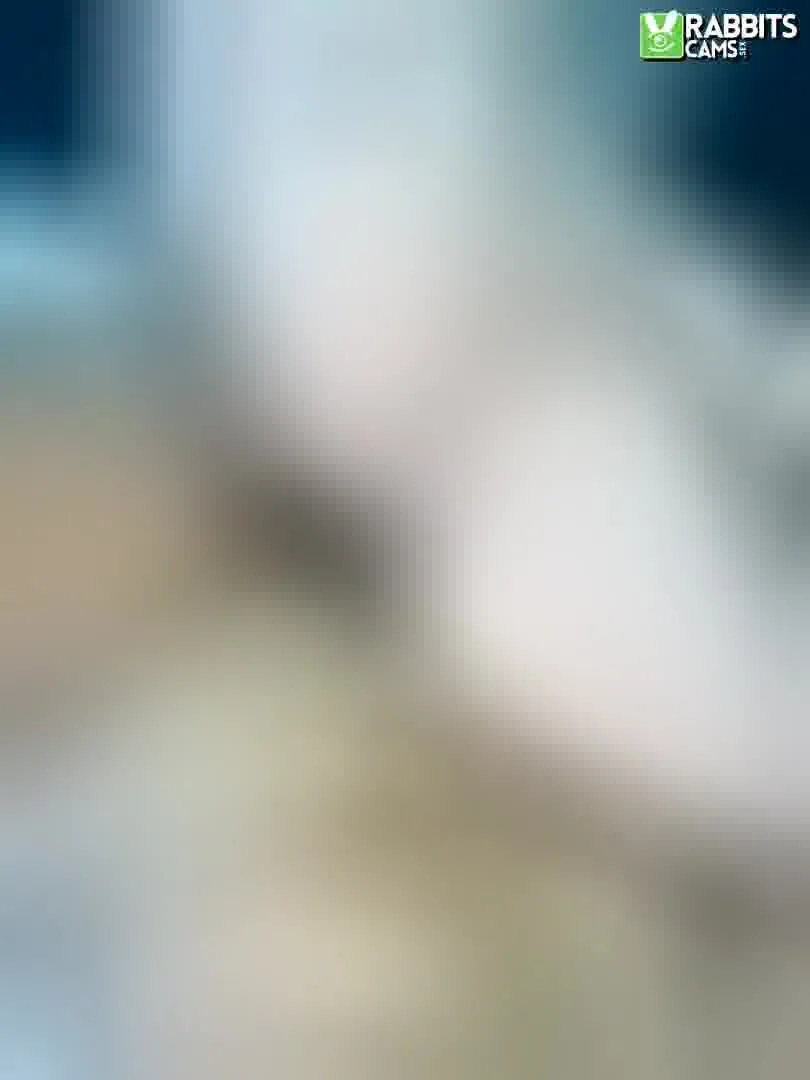 Interprete LiiaRose Video 3