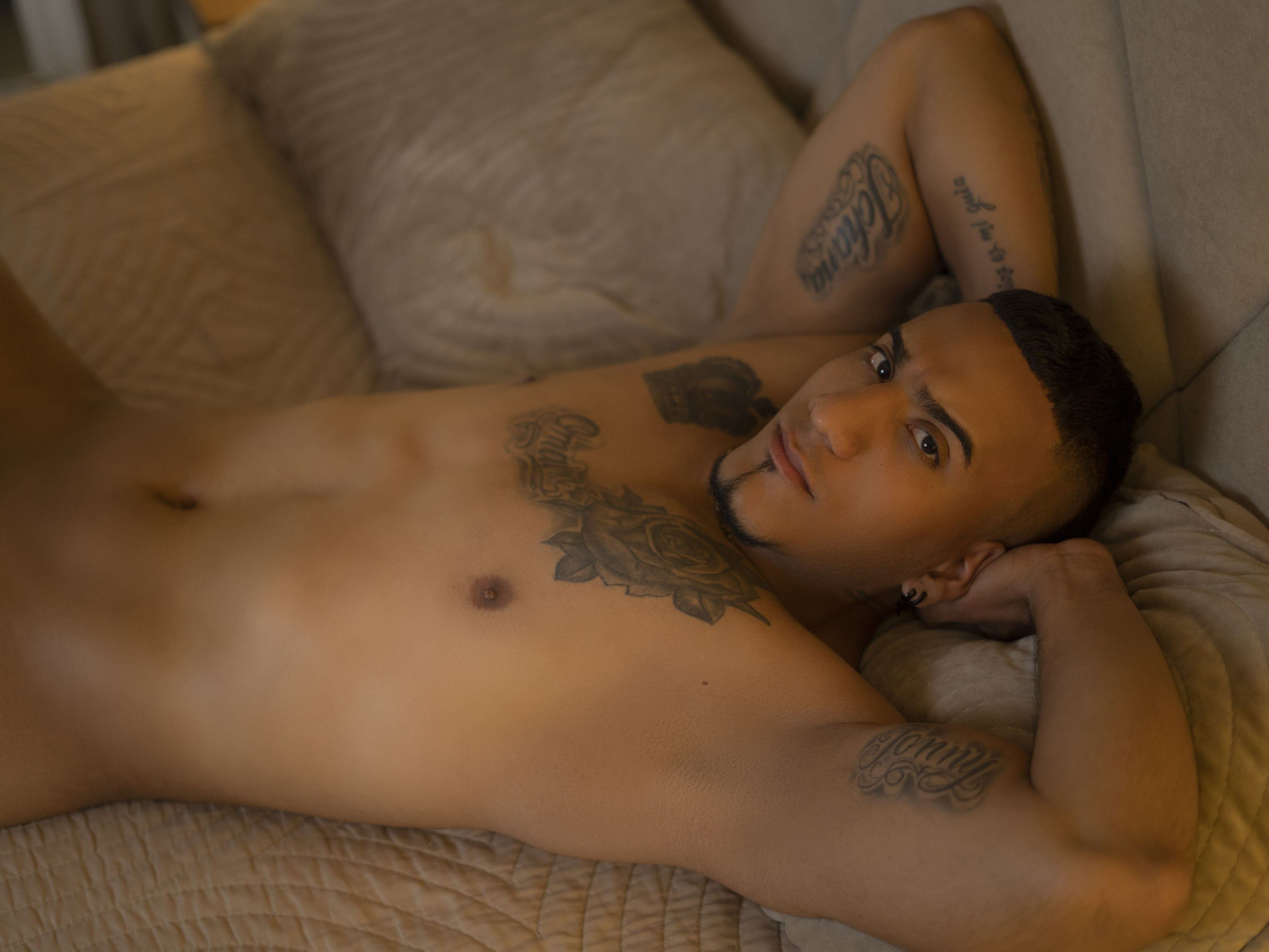 Foto de perfil de modelo de webcam de ThiagoDalton 