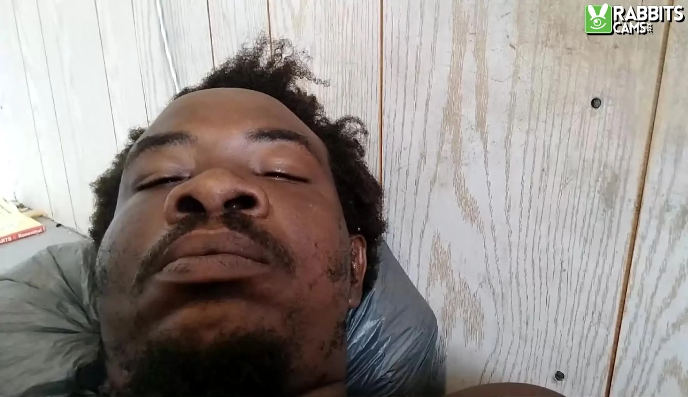 Interprète Pussylord995 Vidéo 2