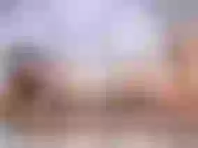 AnaFit immagine del profilo del modello di cam