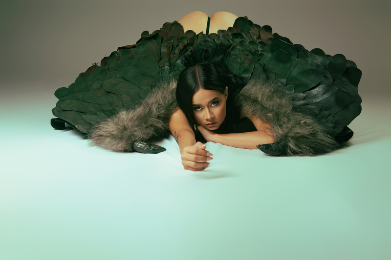 Interprete SOFIANICOLS Foto 8