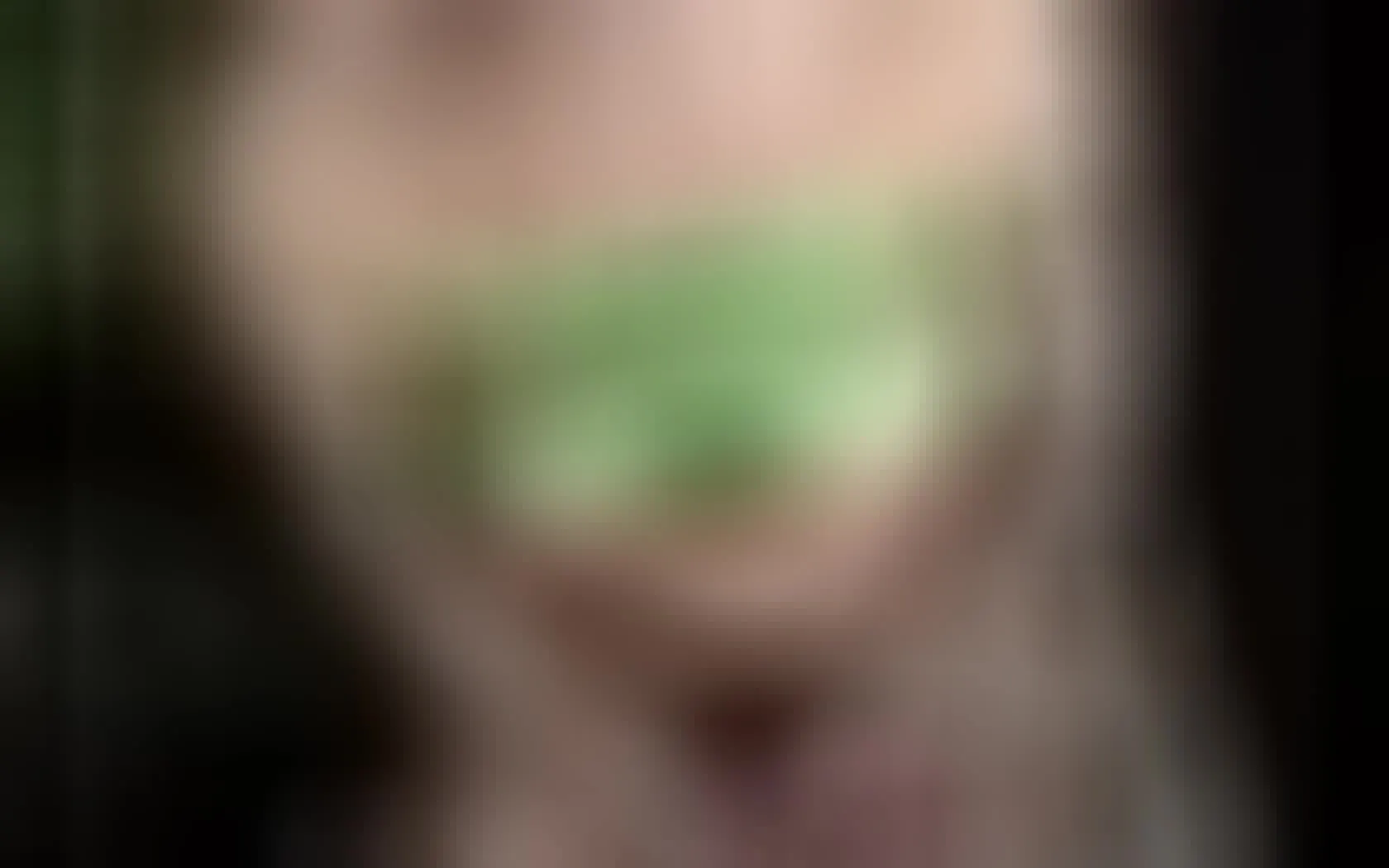 Performer Alteredgypsy Video 1