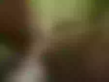 kisslove2022 immagine del profilo del modello di cam
