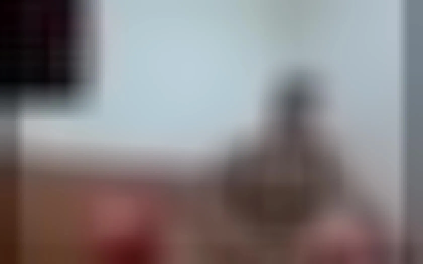 Artista MrBearr Video 1