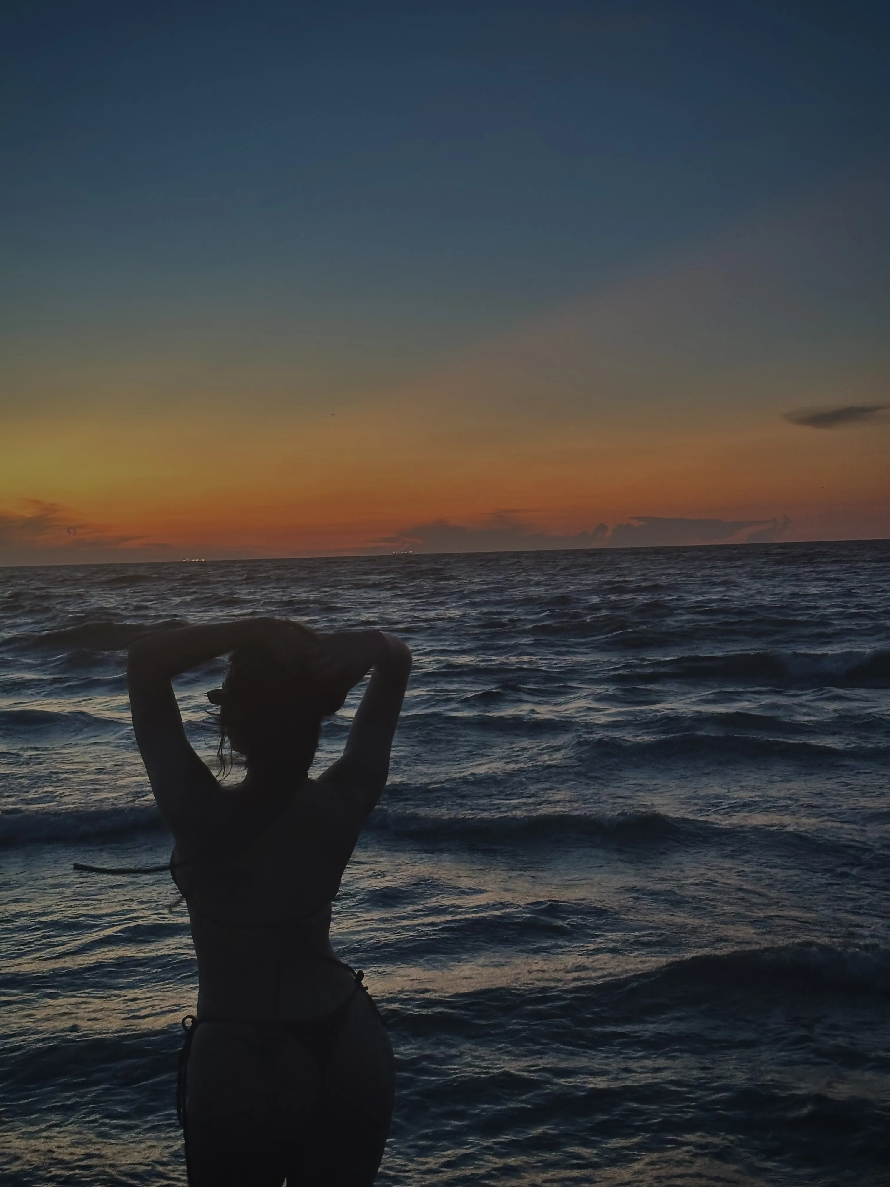 Interprète OceanTaylor Photo 6