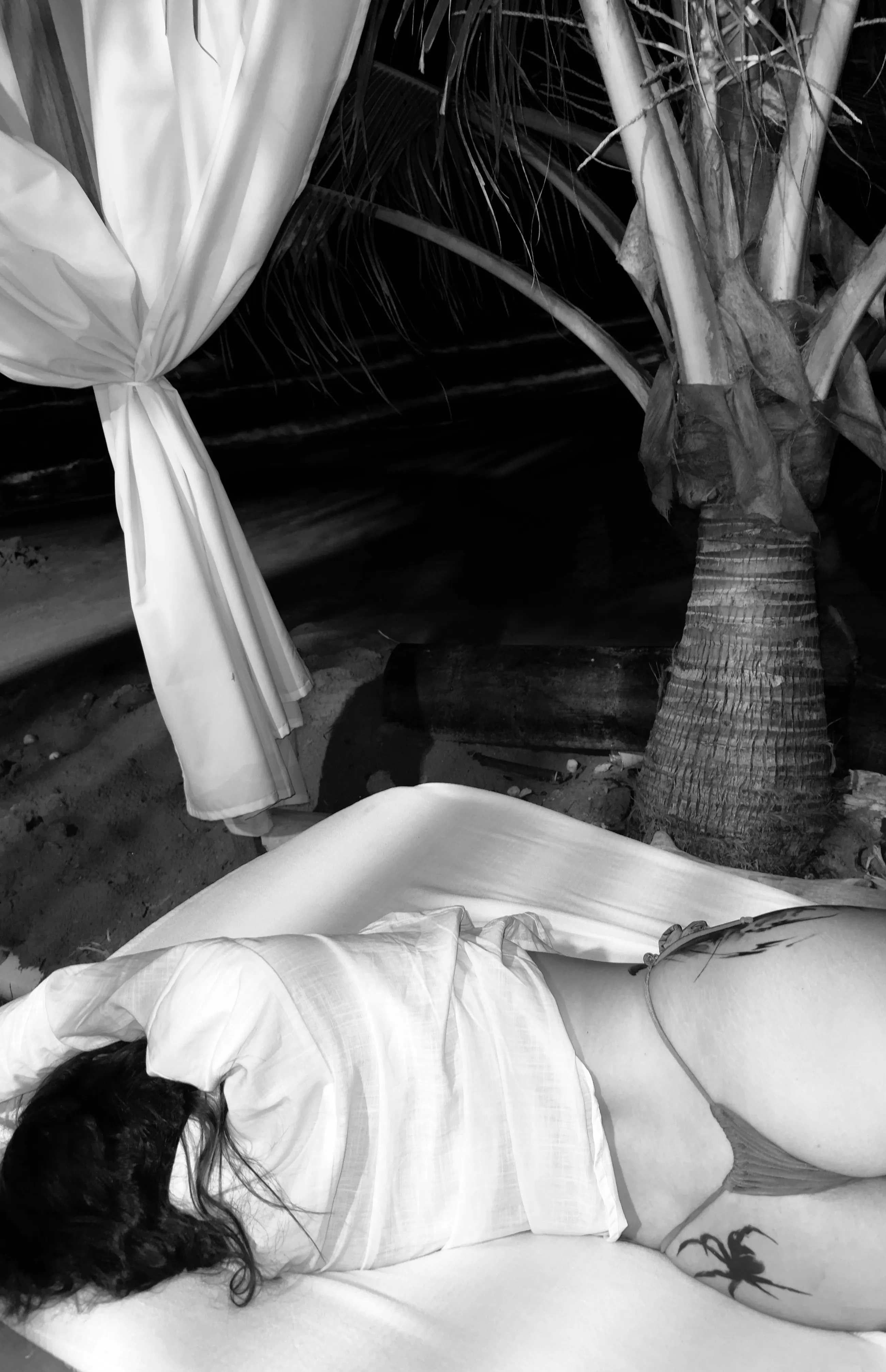 Interprète OceanTaylor Photo 2