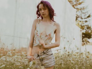 TheDancingViolet Profilbild des Cam-Modells