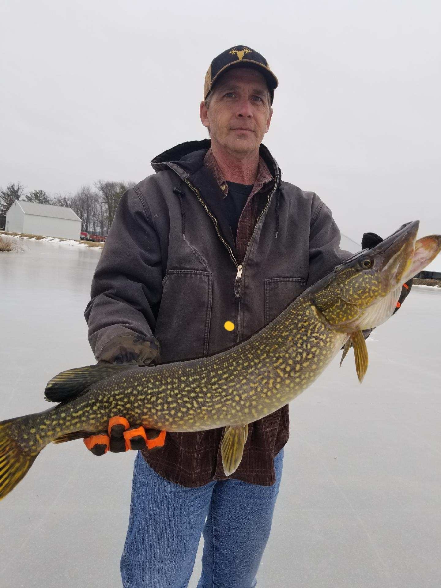 Darsteller Silverfox69 Foto 1