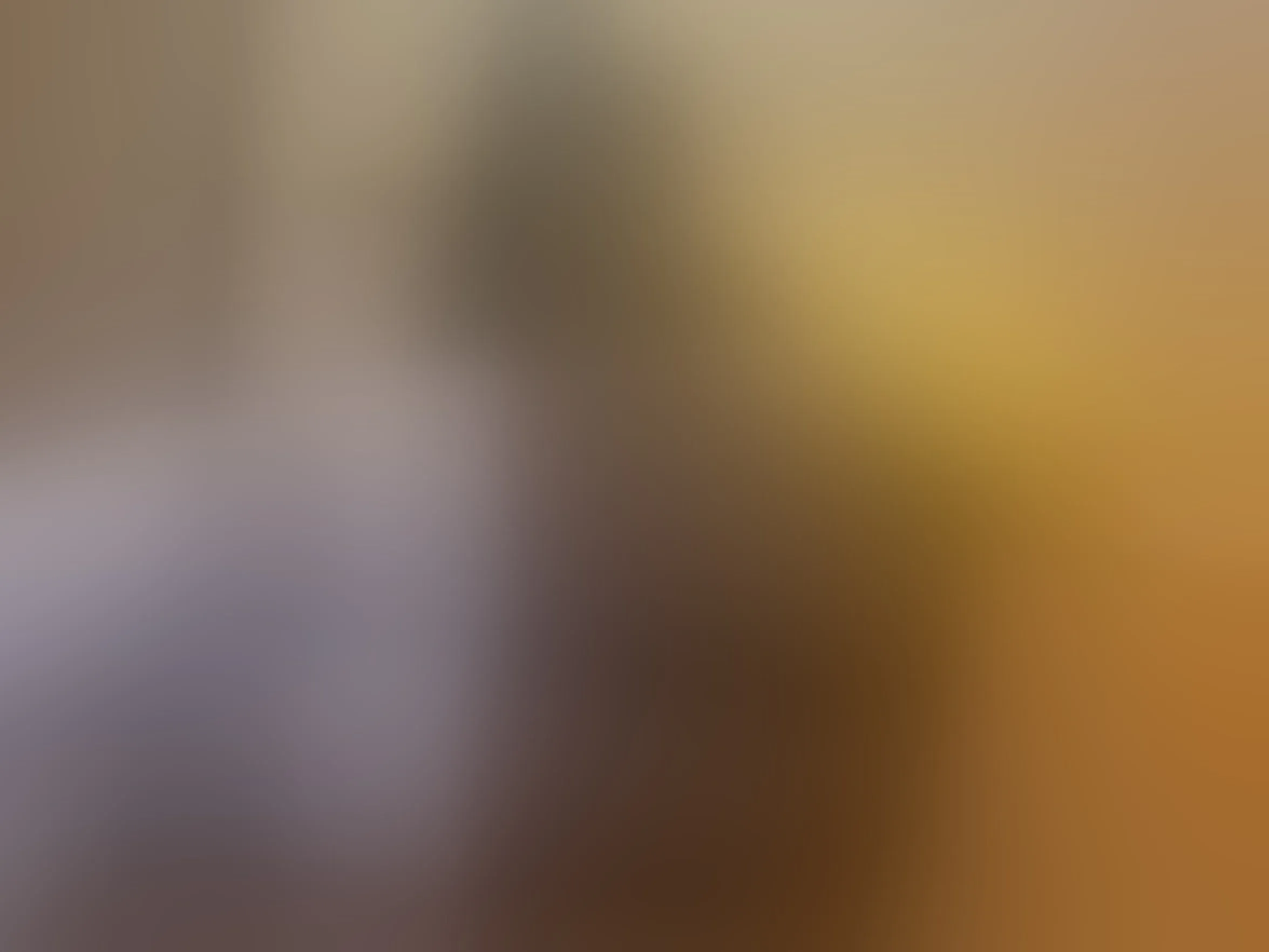 SashagoKraziee immagine del profilo del modello di cam