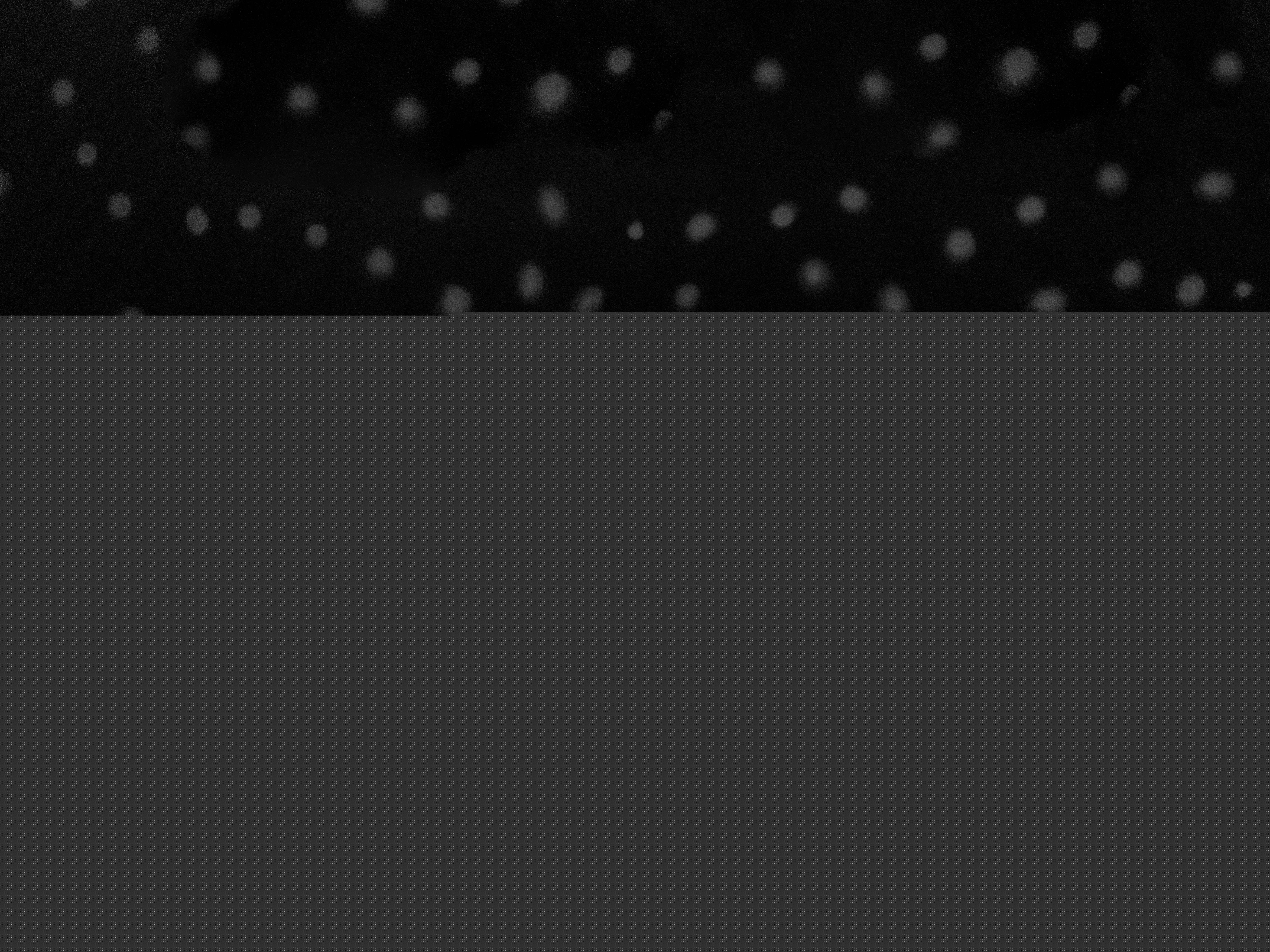 Image de profil du modèle de webcam DenisseHarper018