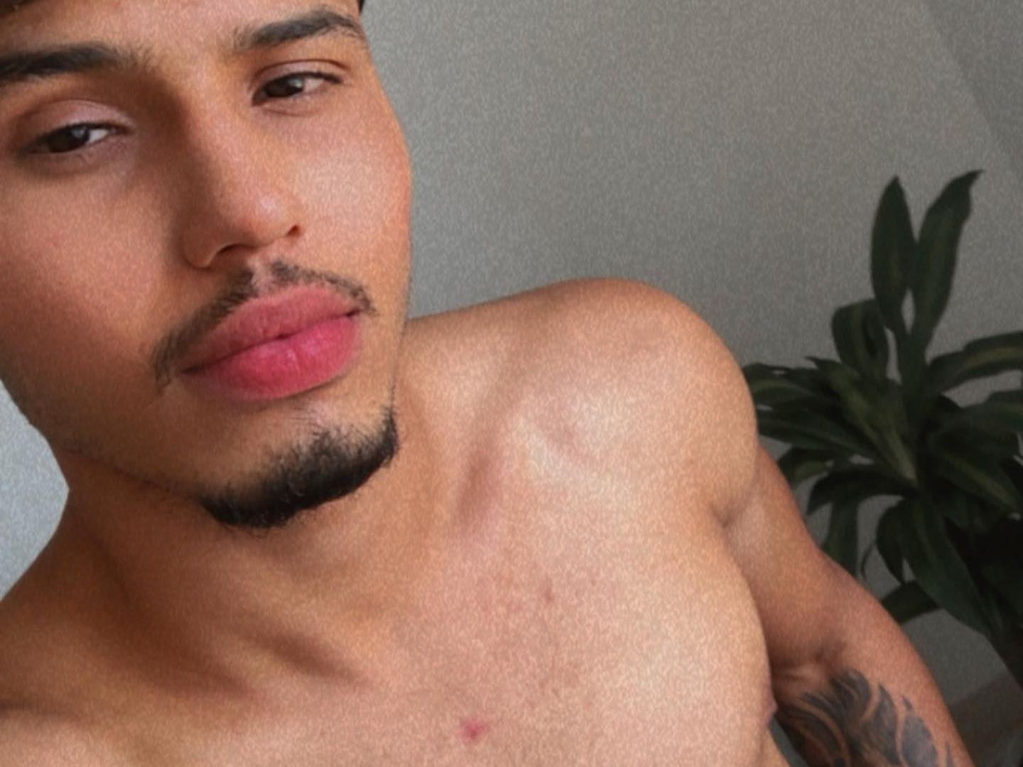 Imagen de perfil de modelo de cámara web de BillyMarlin