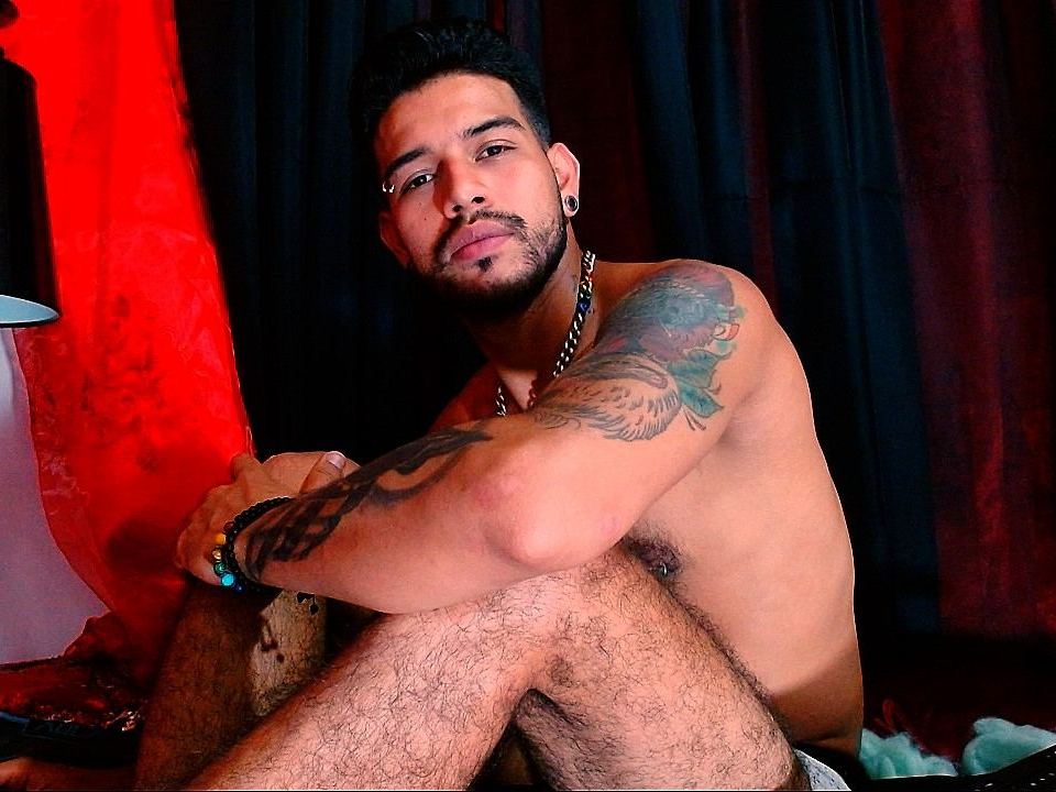 Foto de perfil de modelo de webcam de adarykgrey