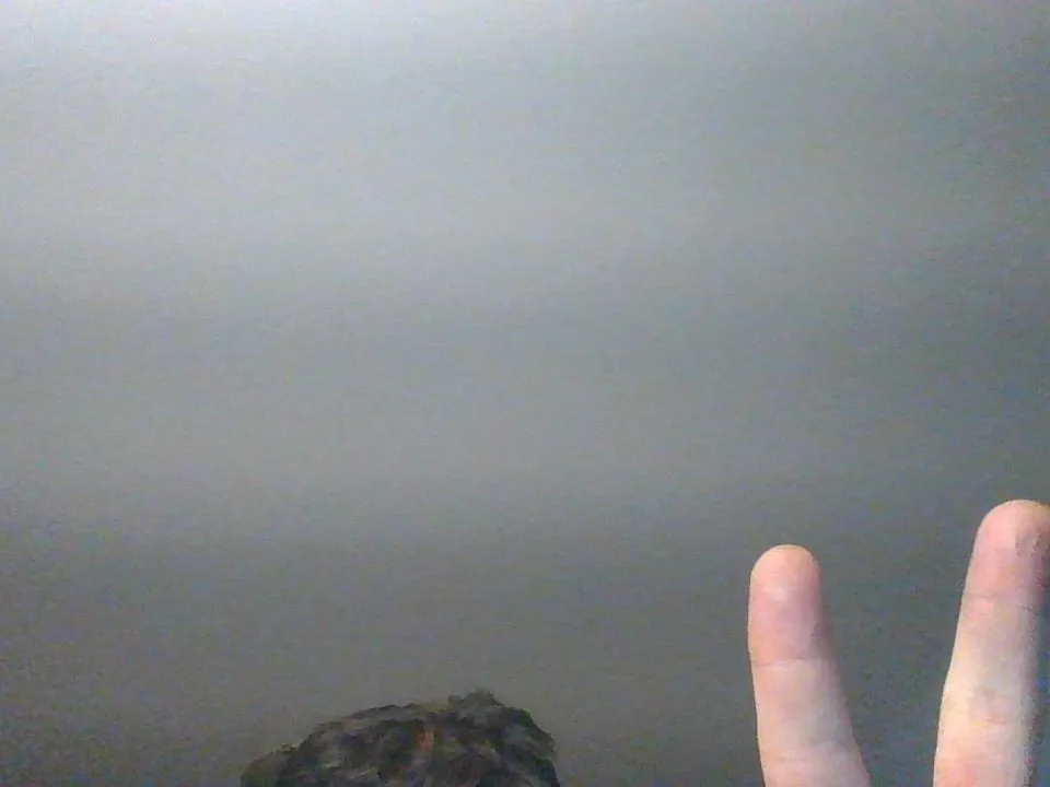 thenerdydude profielfoto van cam model