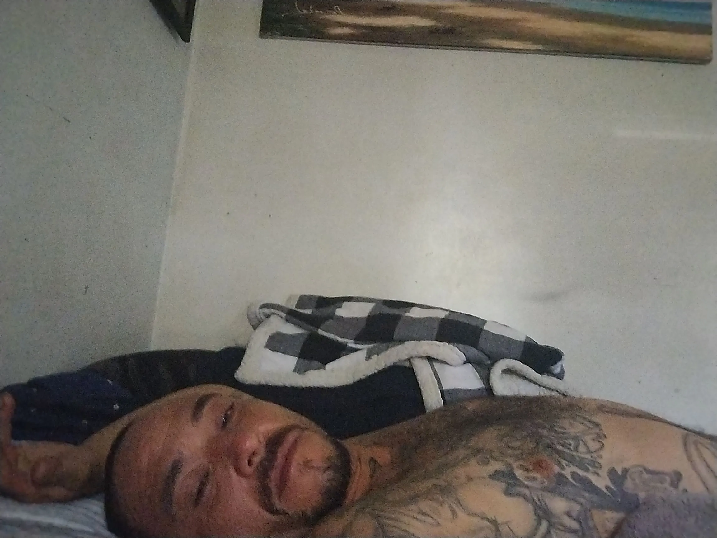 Foto de perfil de modelo de webcam de Brunuts69