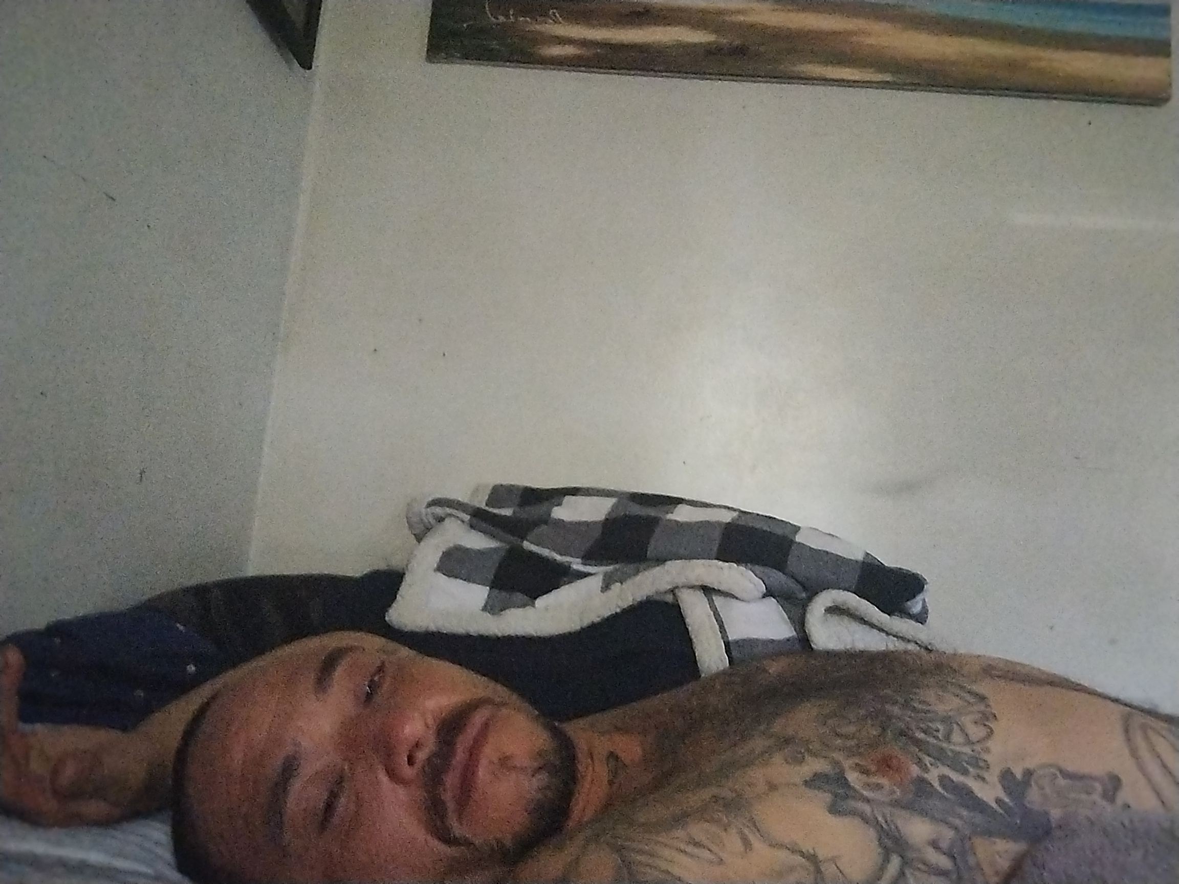 Foto de perfil de modelo de webcam de Brunuts69