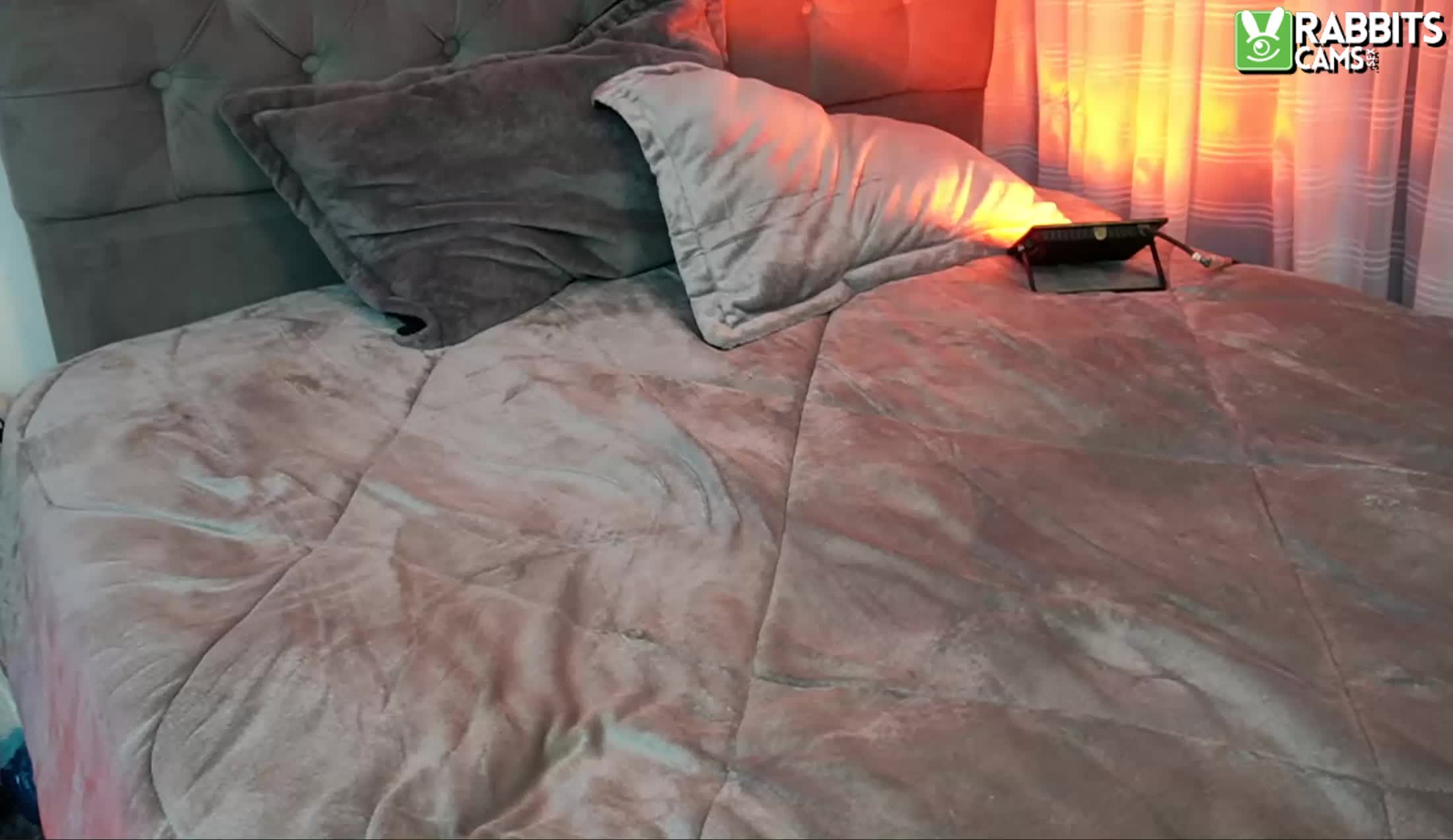 Interprète Taylerr Vidéo 1