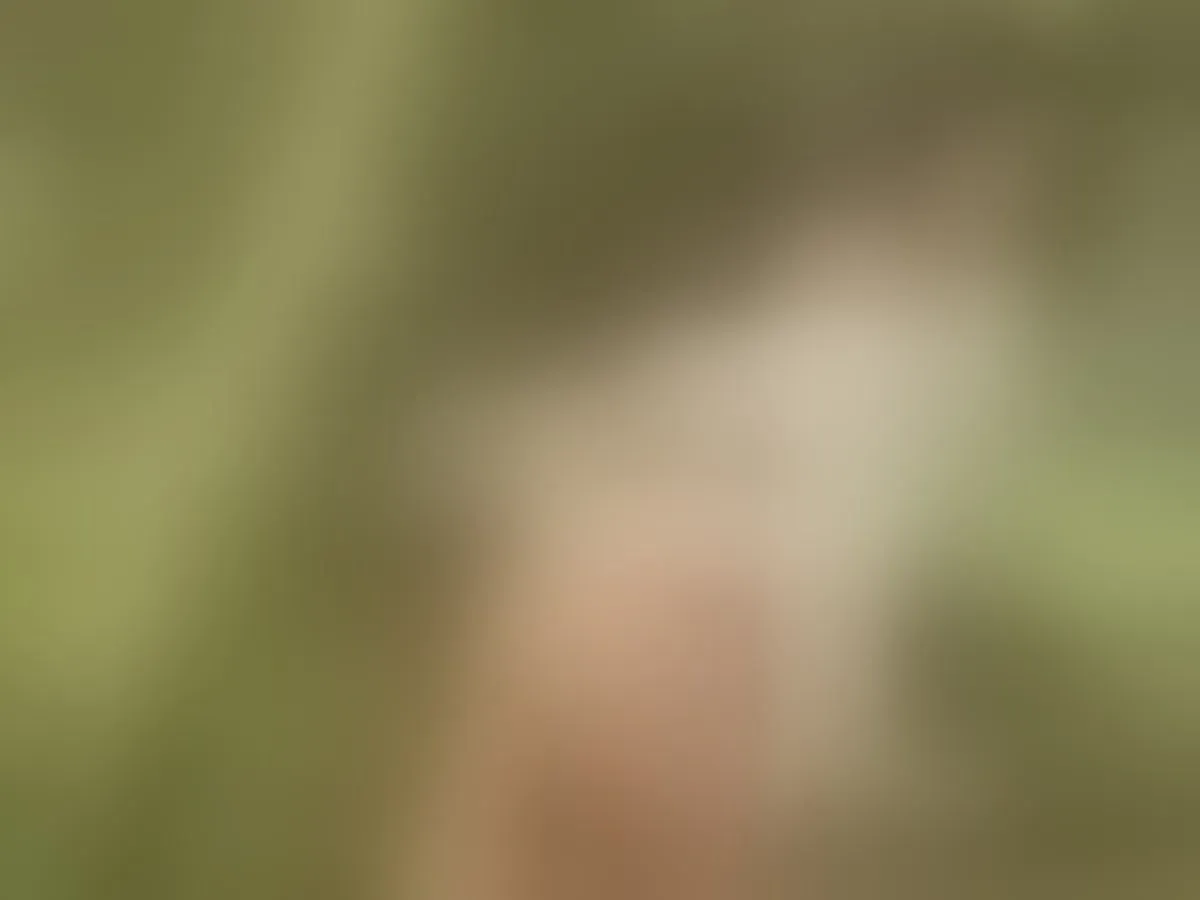 Image de profil du modèle de webcam AnngelyBrown