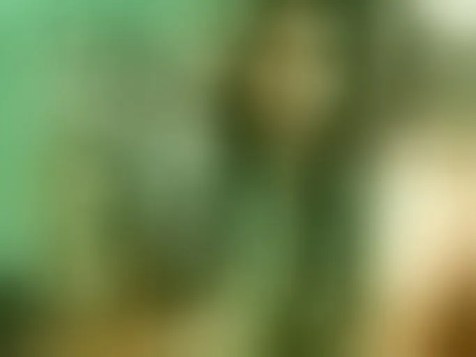 Image de profil du modèle de webcam AntonellaSt