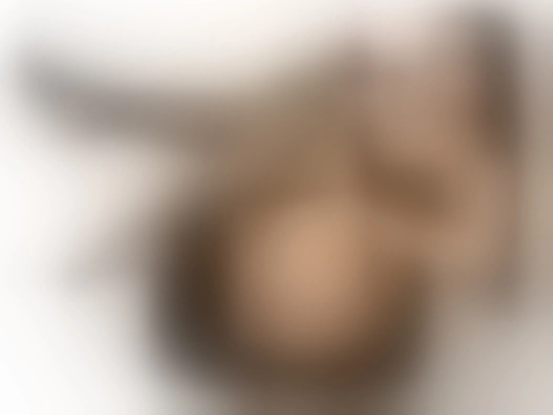 Paalmegray immagine del profilo del modello di cam