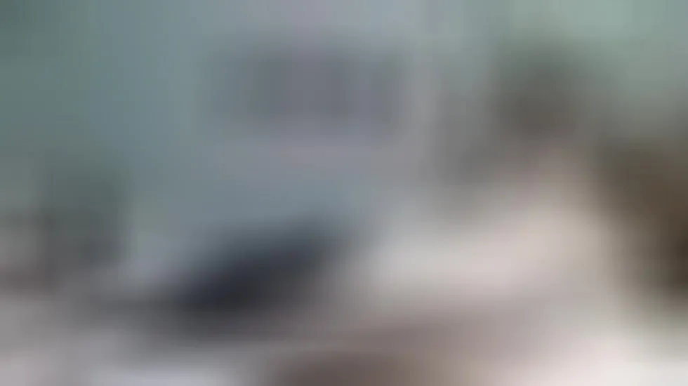 Interprete AbbyLotus Video 1