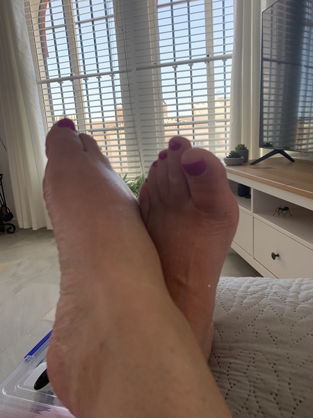 Interprete Dominantscottisheve Foto 6