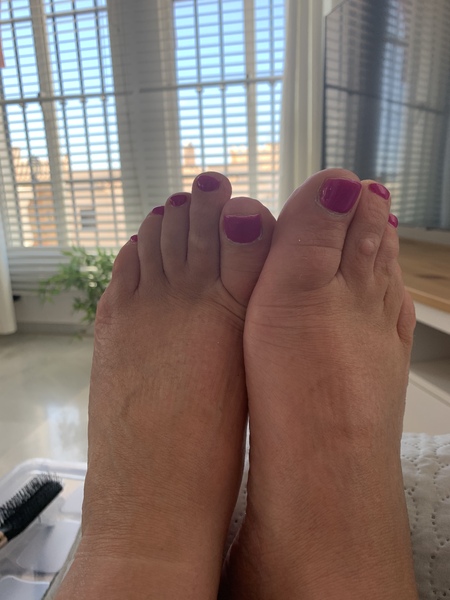 Interprete Dominantscottisheve Foto 7