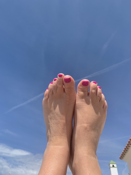 Interprete Dominantscottisheve Foto 3