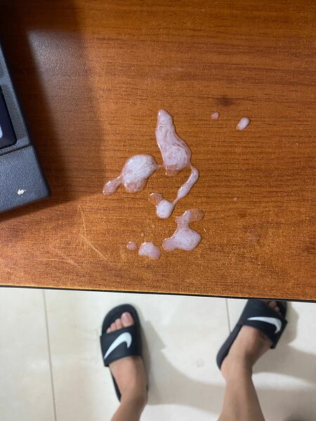 Artiest 12incsdollts Foto 11