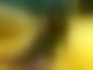 MiaMoose
