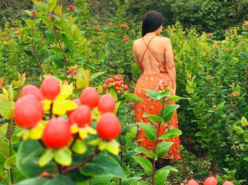 Artiest GabrielaFerreri Foto 6