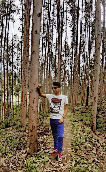 Artista DavidSting Foto 4