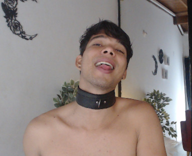 Performer tomyr Photo 12