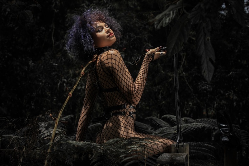 Interprète TwilightLoidy Photo 7