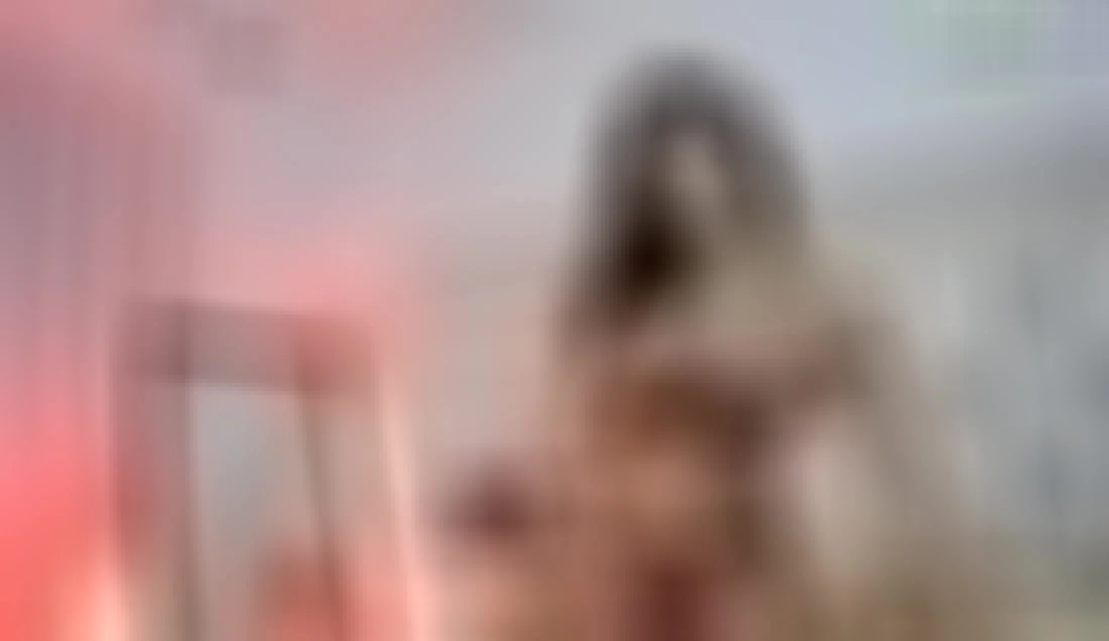 Interprète Irinahaids Vidéo 1