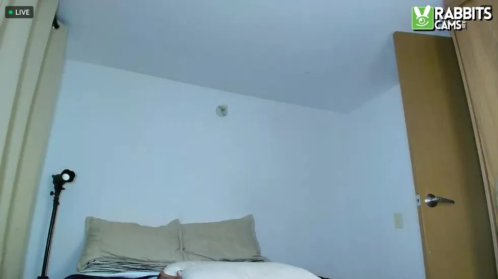 Artist SOFIATSFOX Video 2