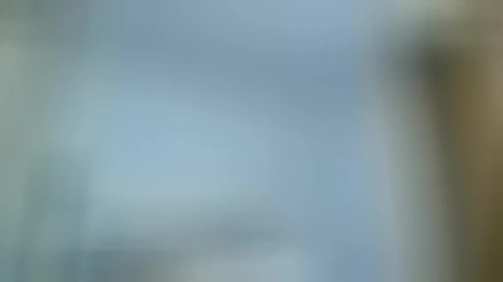 Interprete SOFIATSFOX Video 2