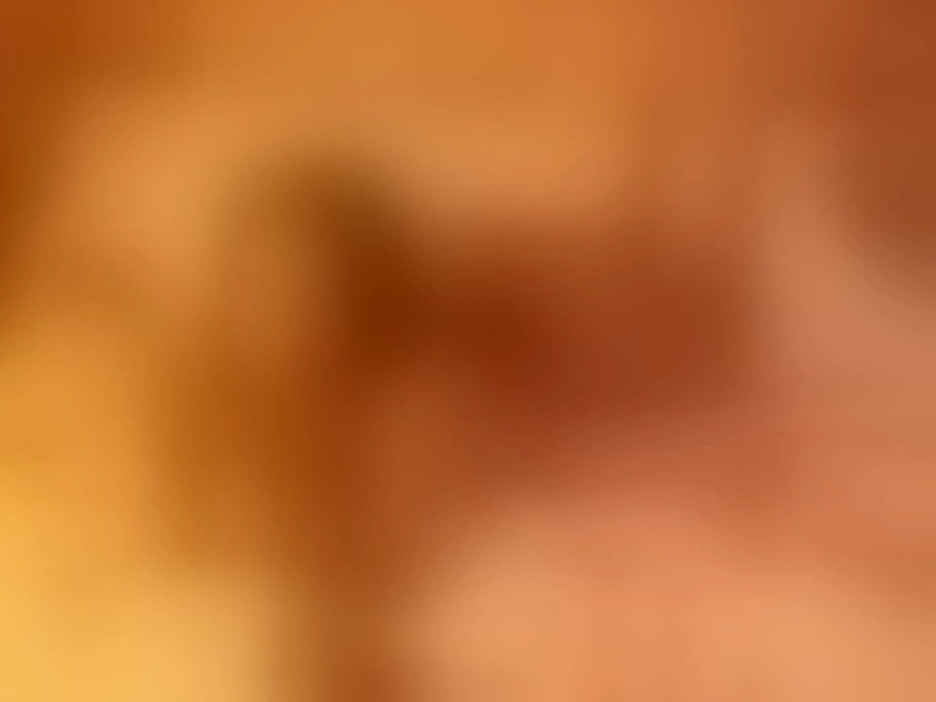 AmeliaChapman immagine del profilo del modello di cam