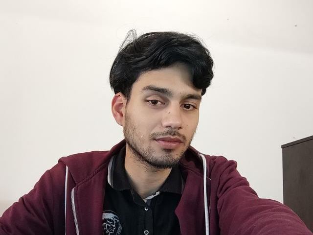 paimongray cam model profile picture 