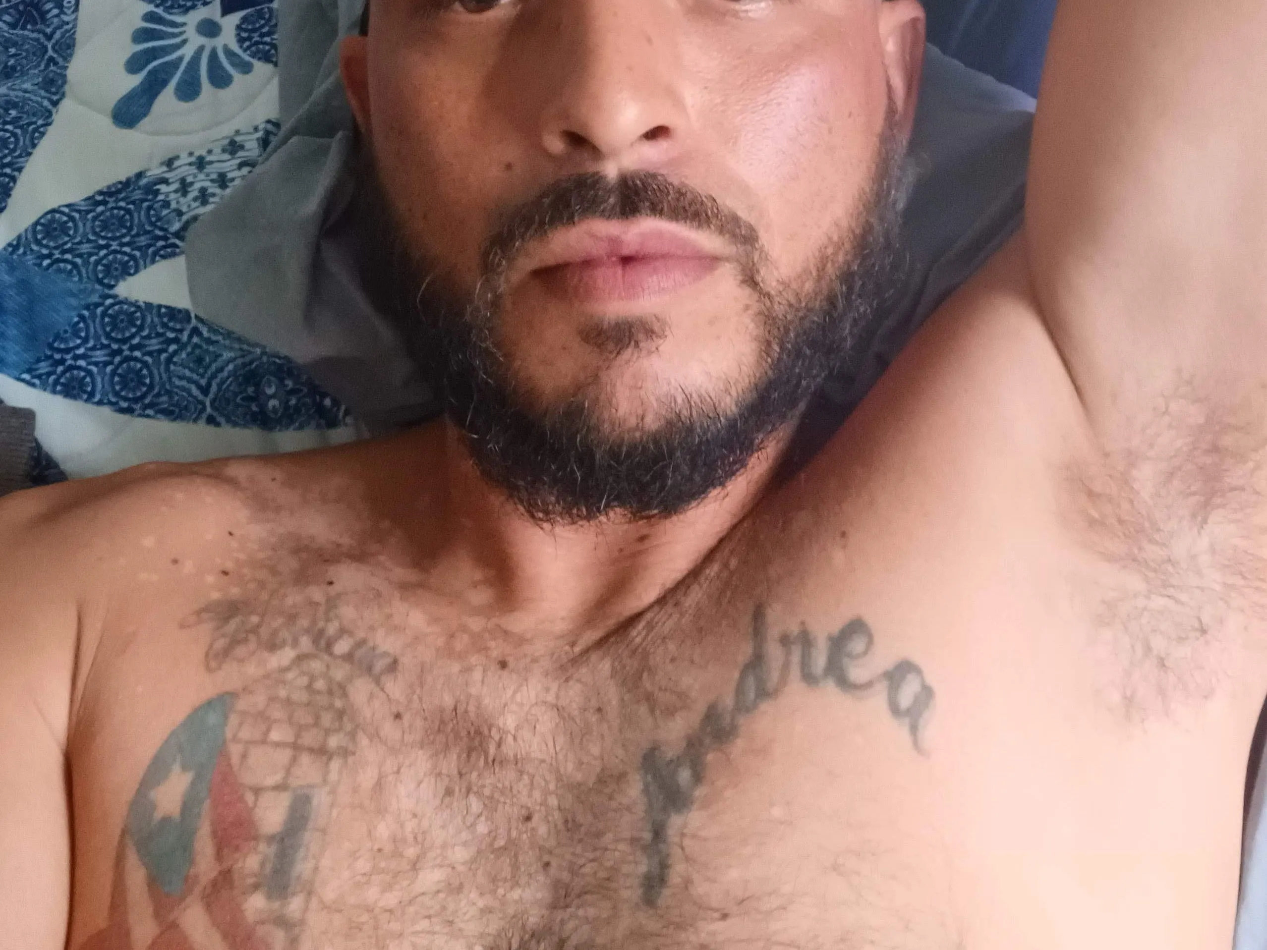 BoriPito Profilbild des Cam-Modells