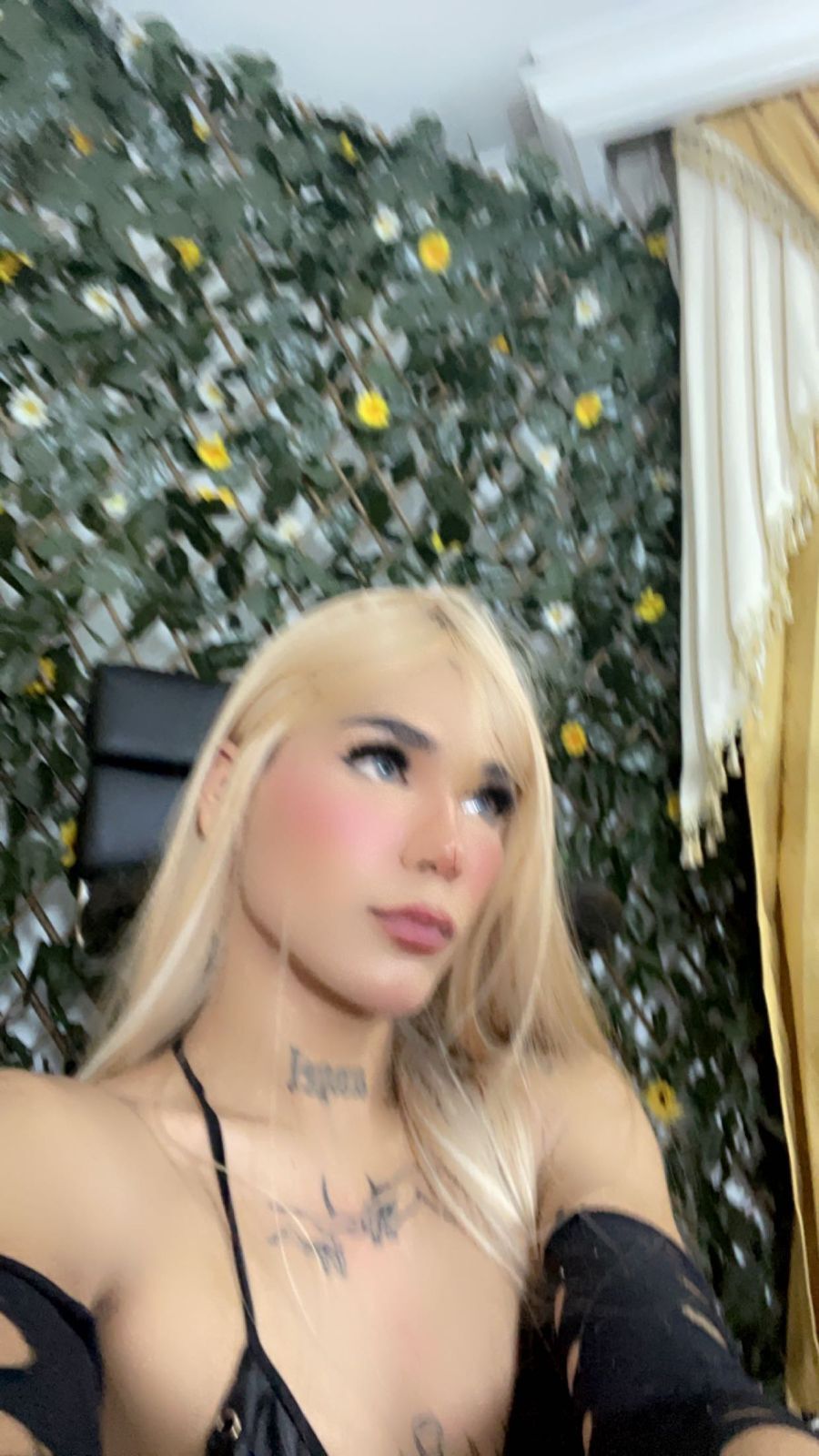 Interprete bunnyhotsx Foto 2