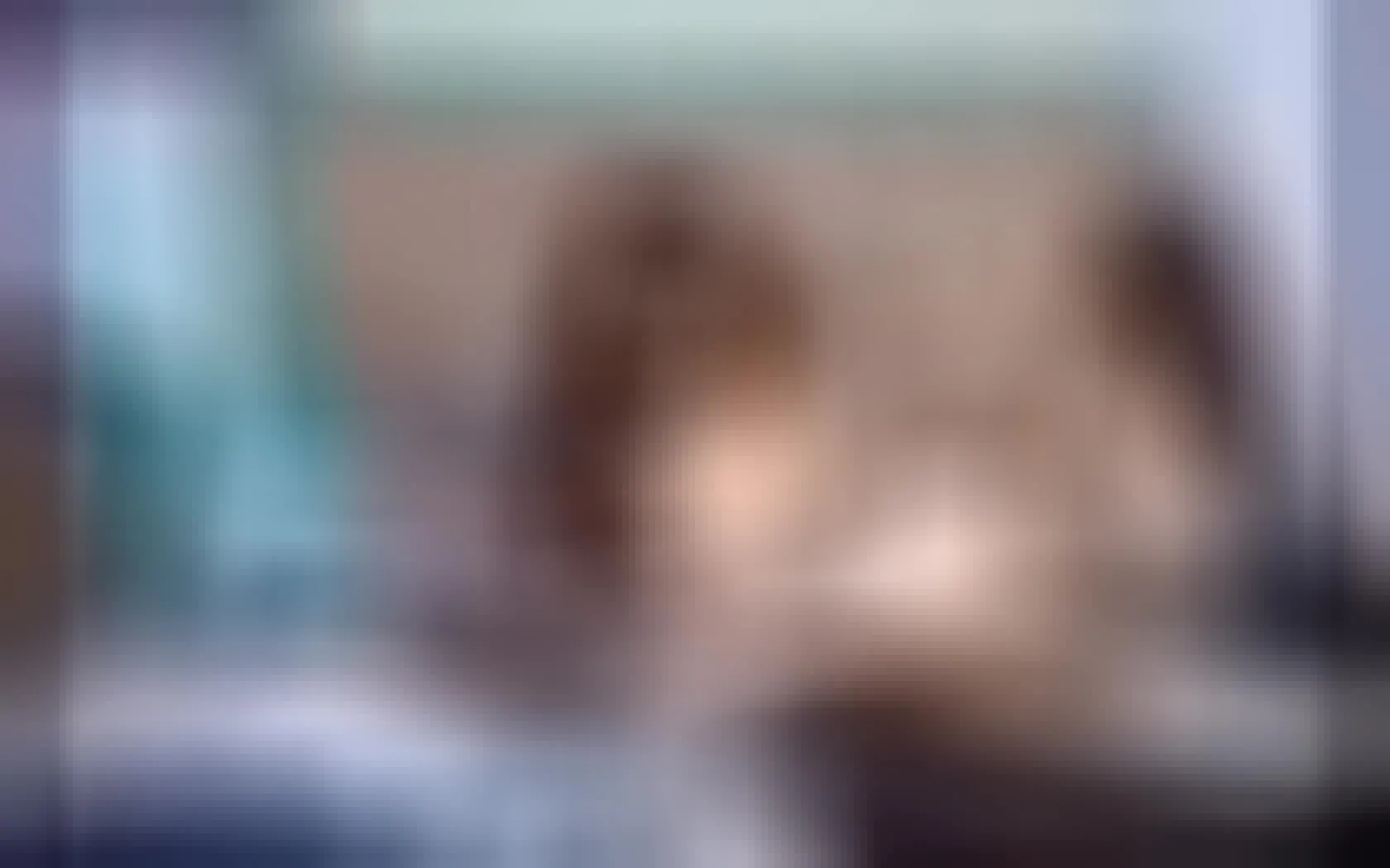 Interprete Ravenfoxter Video 1