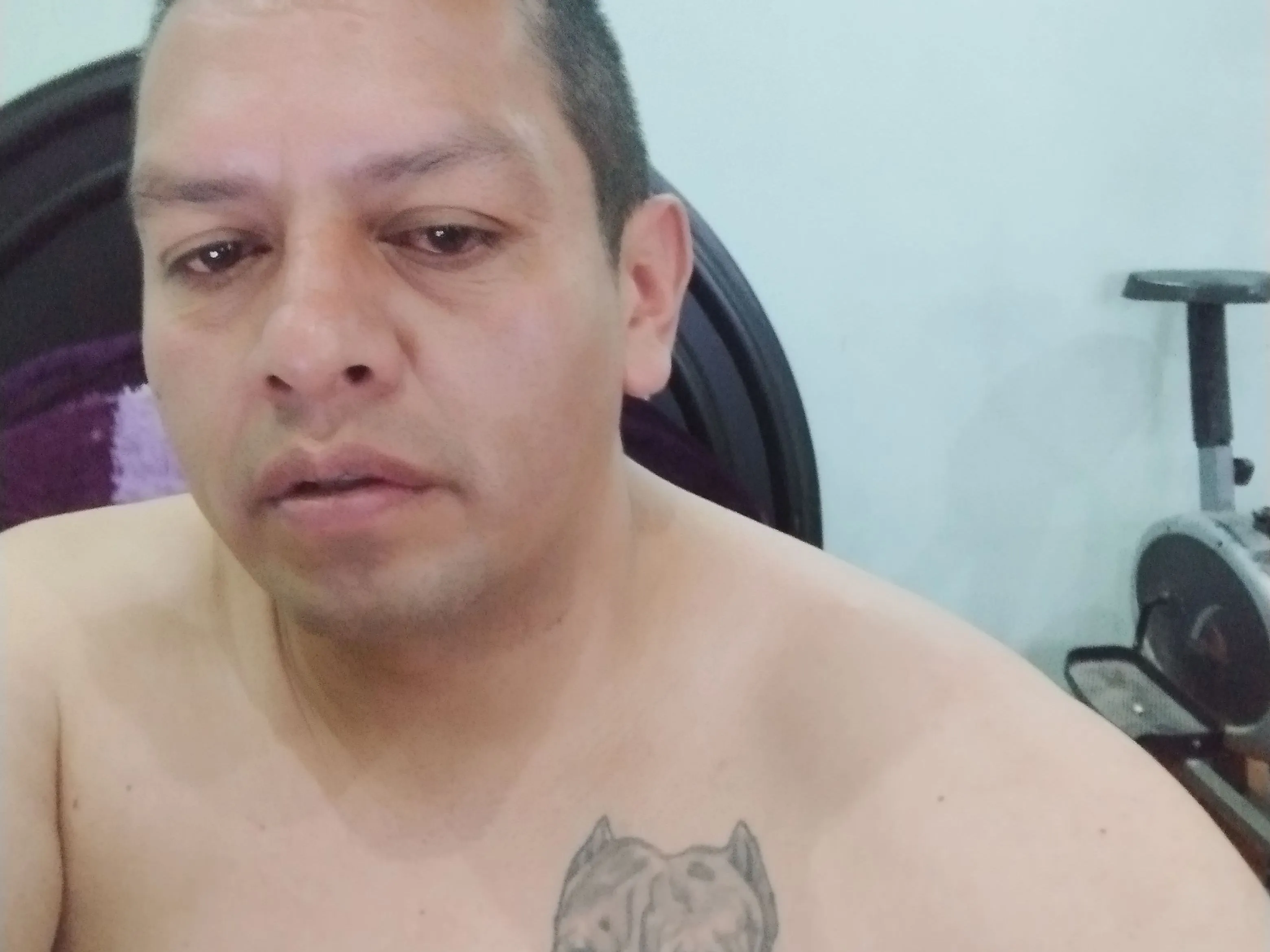 calintes1223 Profilbild des Cam-Modells