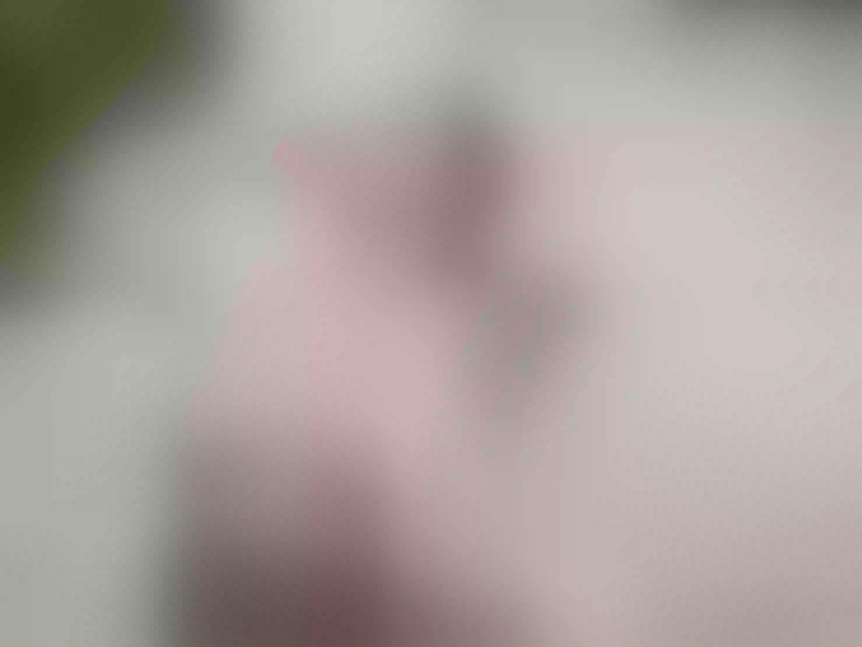 Imagen de perfil de modelo de cámara web de AbigailRyder
