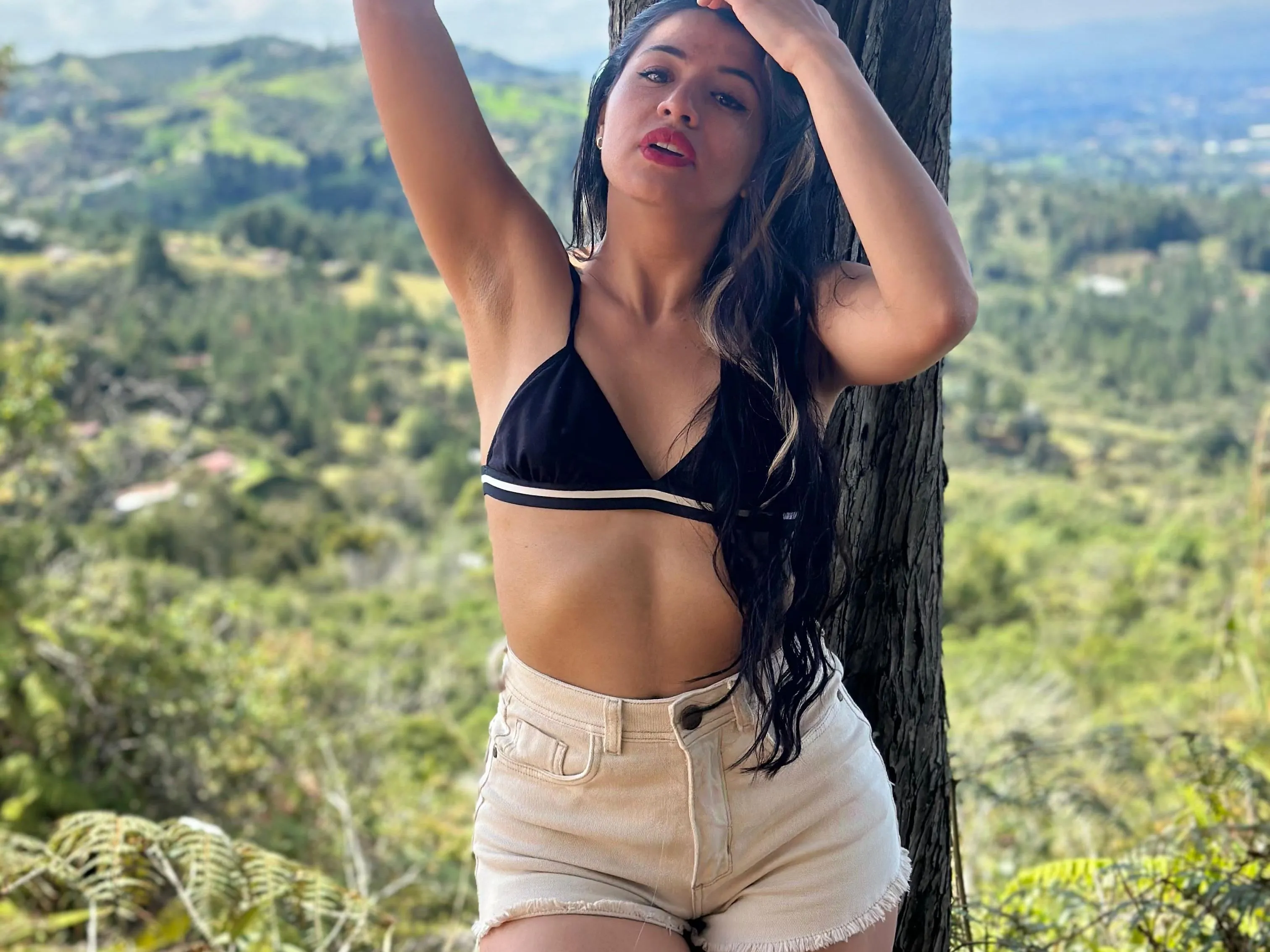 SandyBridge immagine del profilo del modello di cam