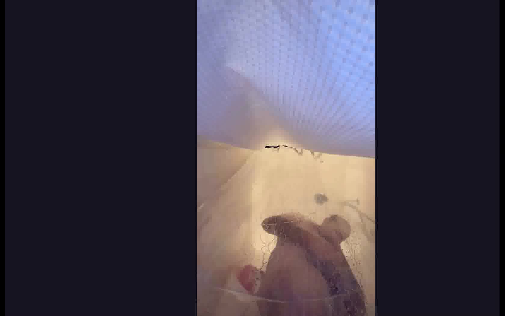 Intérprete Horny69Dude Video 1