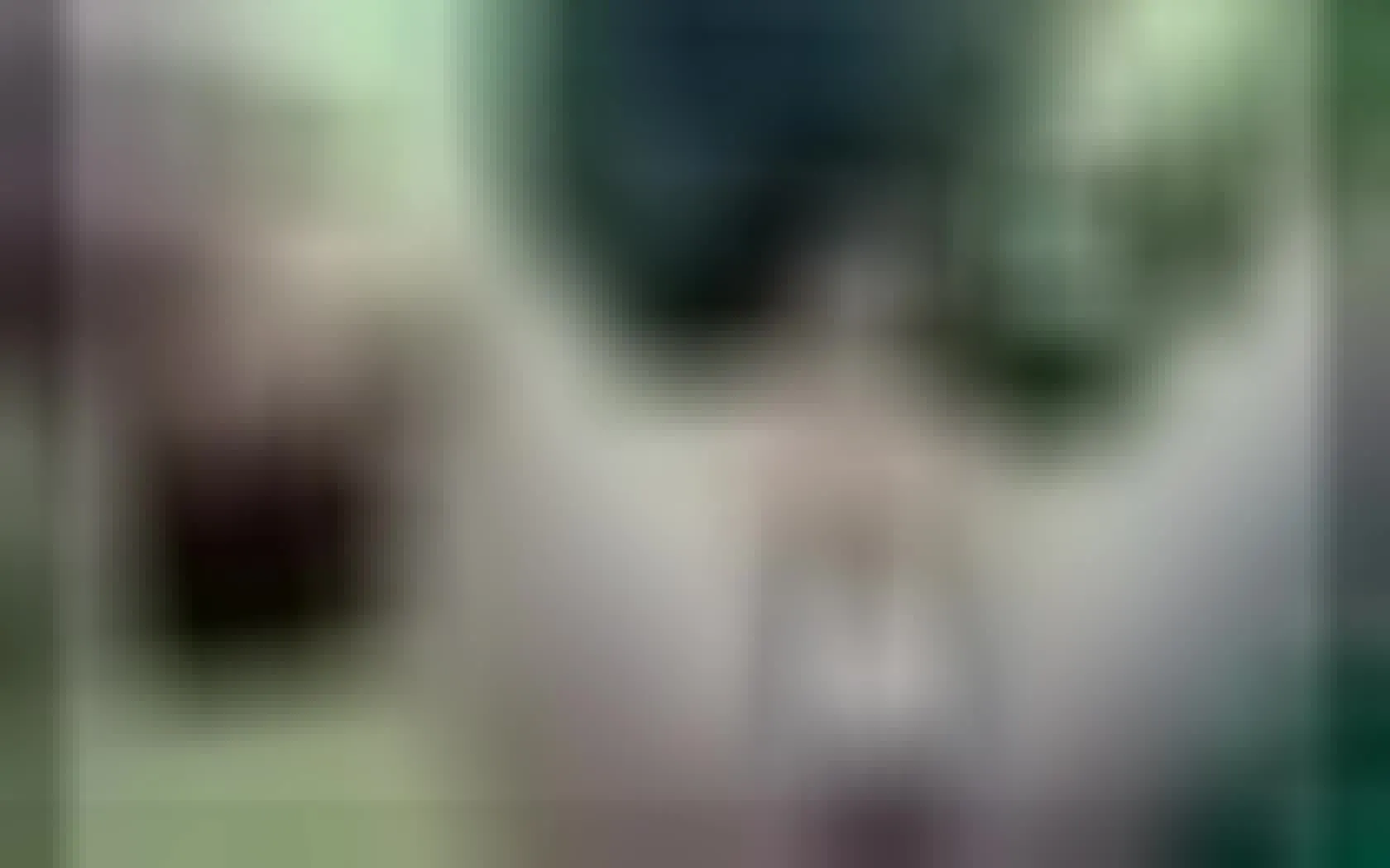 Interprète elektraa32 Vidéo 1
