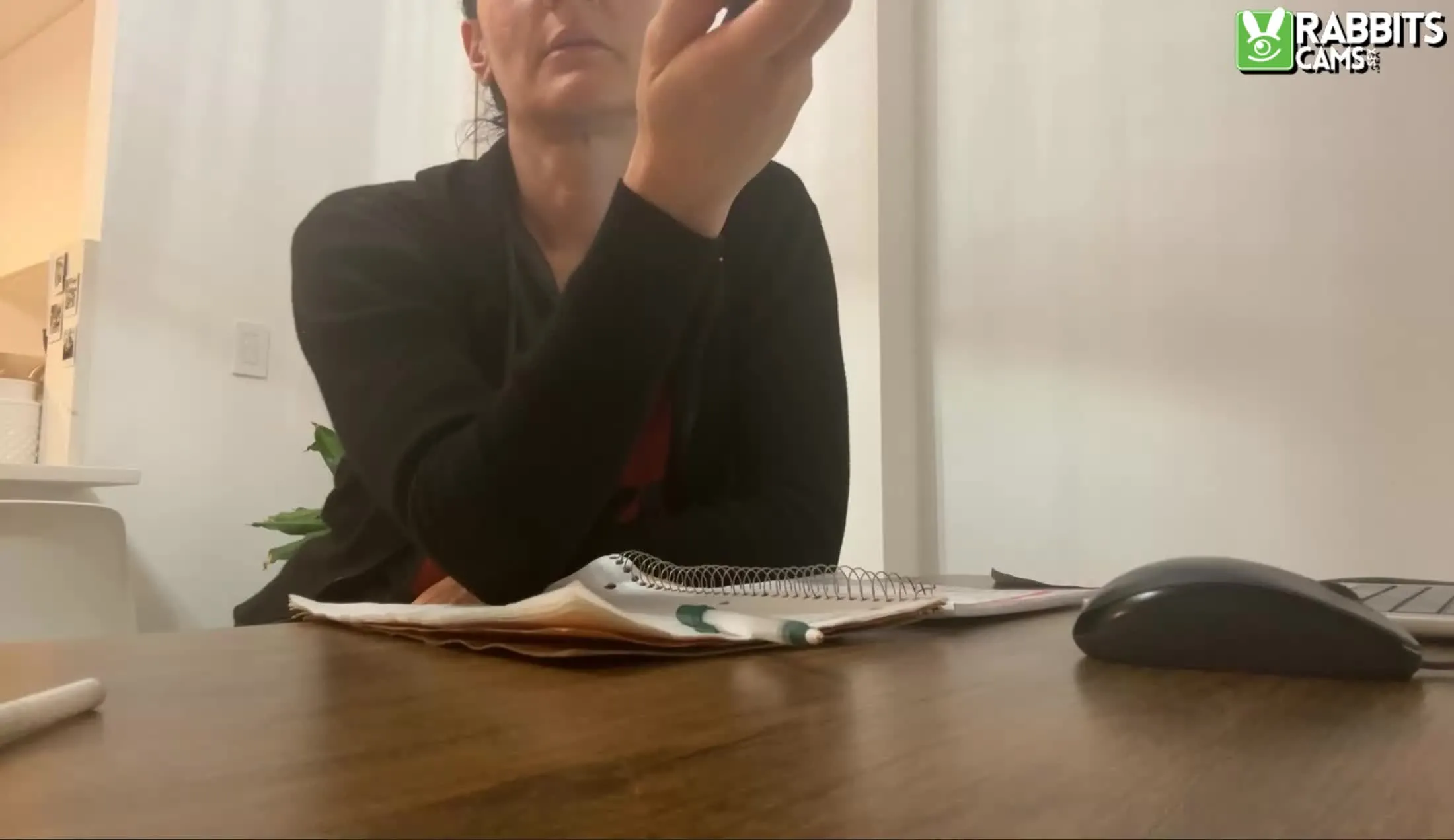 Interprète LexingtonStarr Vidéo 2