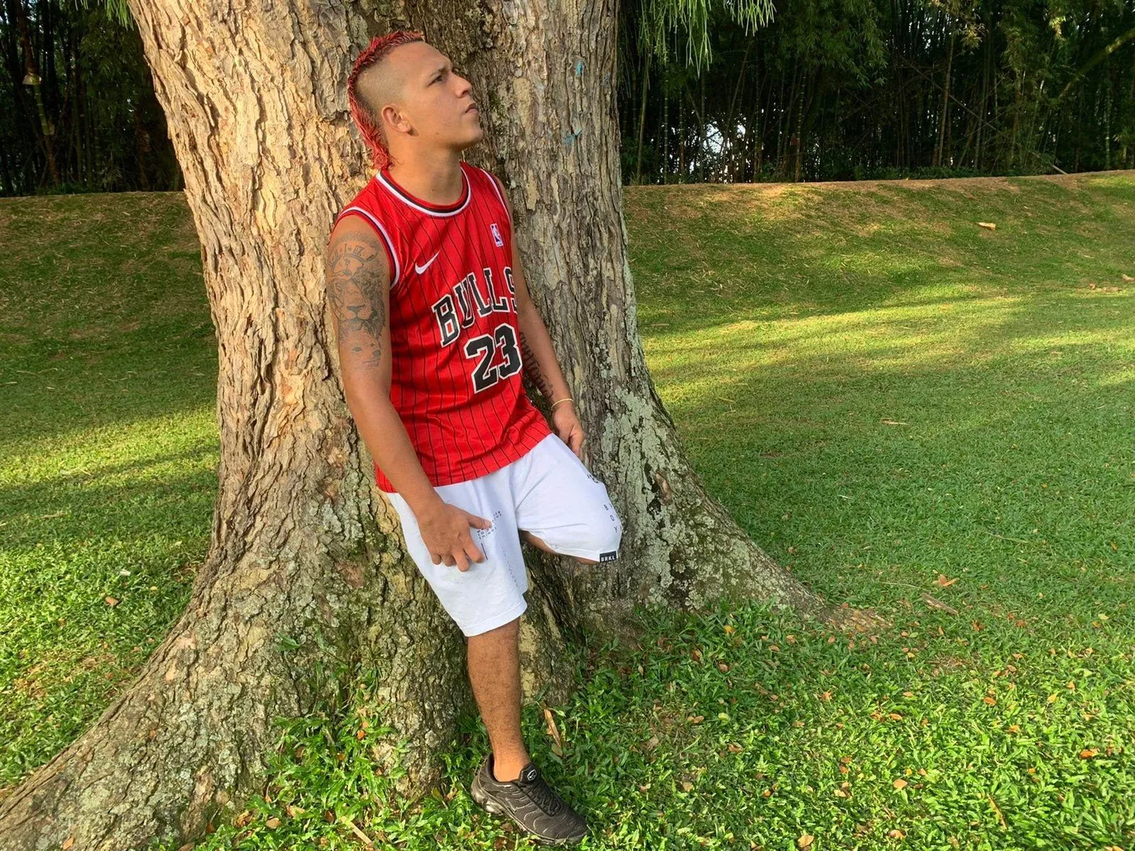 deivystallion cam model profile picture