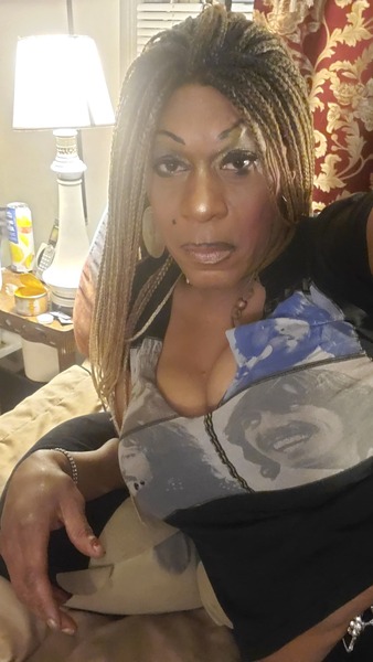 Interprète CandassWolf Photo 5